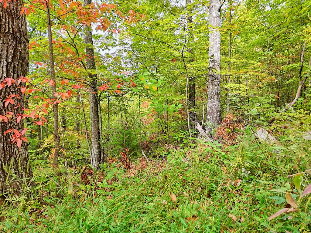 Lot 23 Skyview Overlook