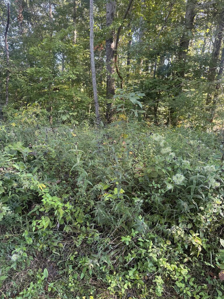 Lot 3 Roberts Ridge Road