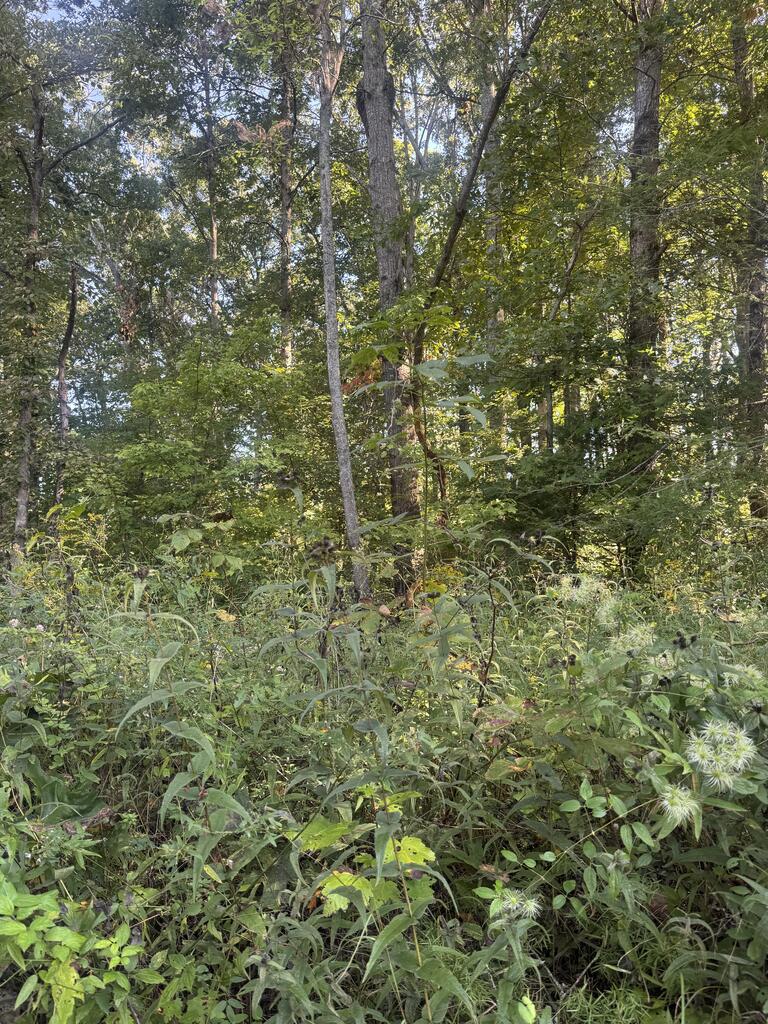 Lot 3 Roberts Ridge Road