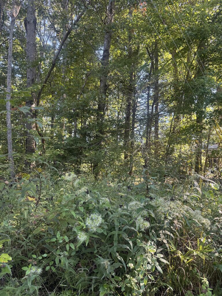 Lot 3 Roberts Ridge Road