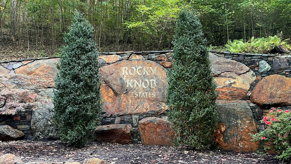 Lot 24 Rocky Knob Estates
