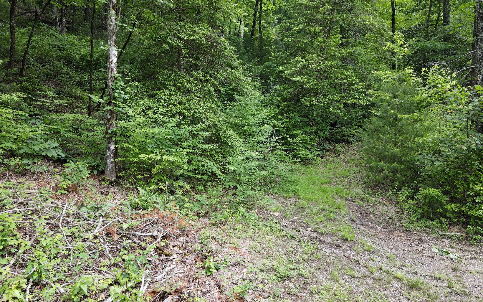 TR 2 Cindy Cove Road