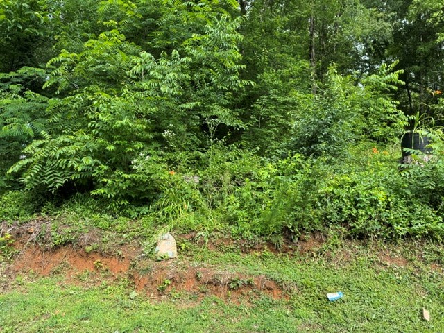 92 Benji Drive