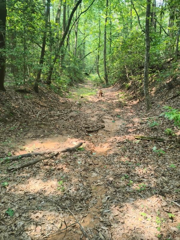 11.12 AC Lowman Road