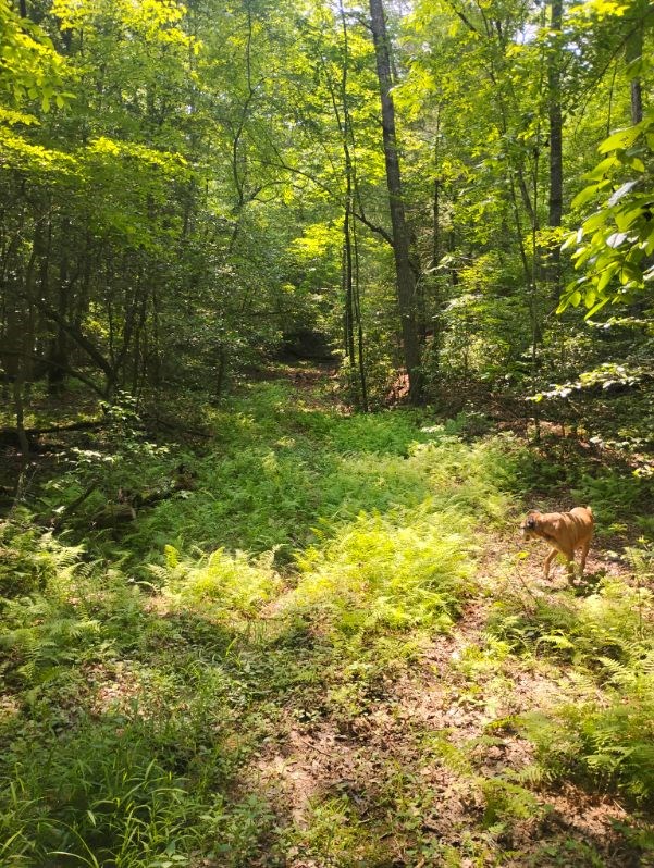 11.12 AC Lowman Road