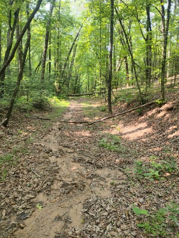 11.12 AC Lowman Road