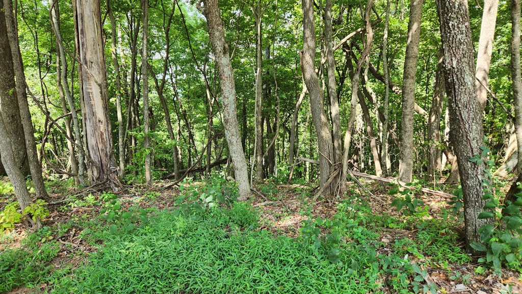 Lot 32 Calvender Road