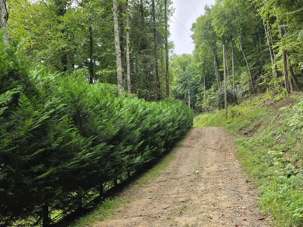 L32 Chestnut Flats Road