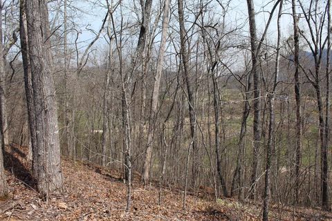 Lot 86A Licklog Ridge Hayesville NC 28904