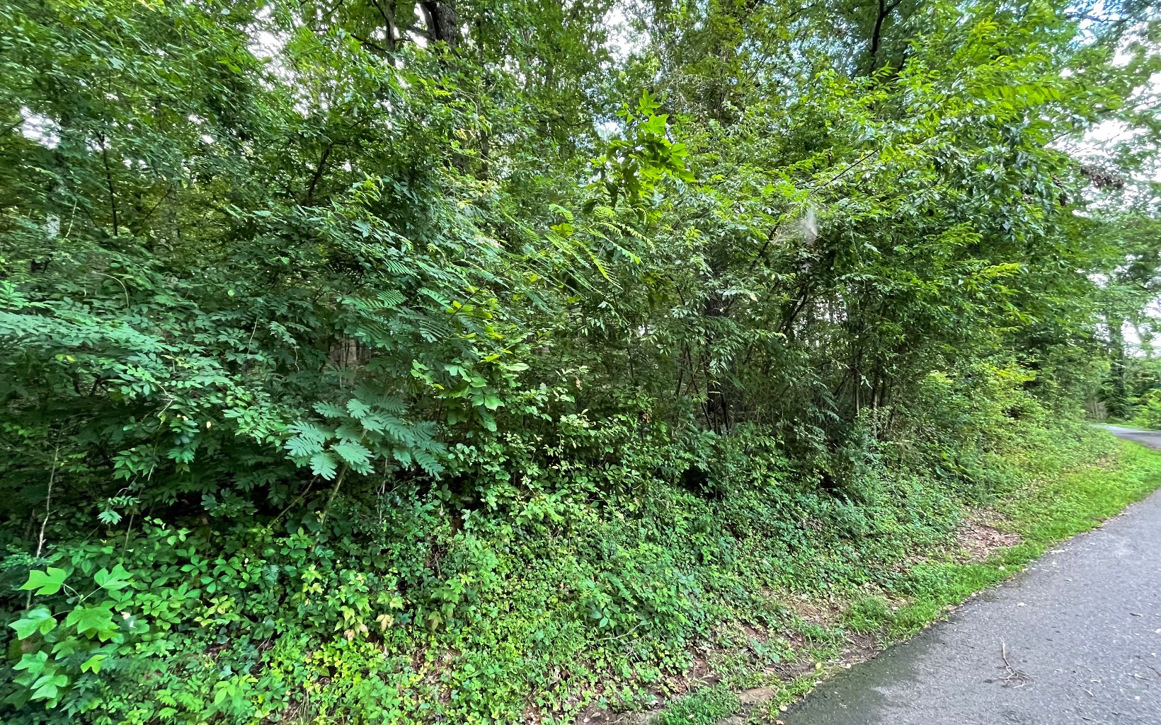 Lot 6A Kilpatrick Point Terrace