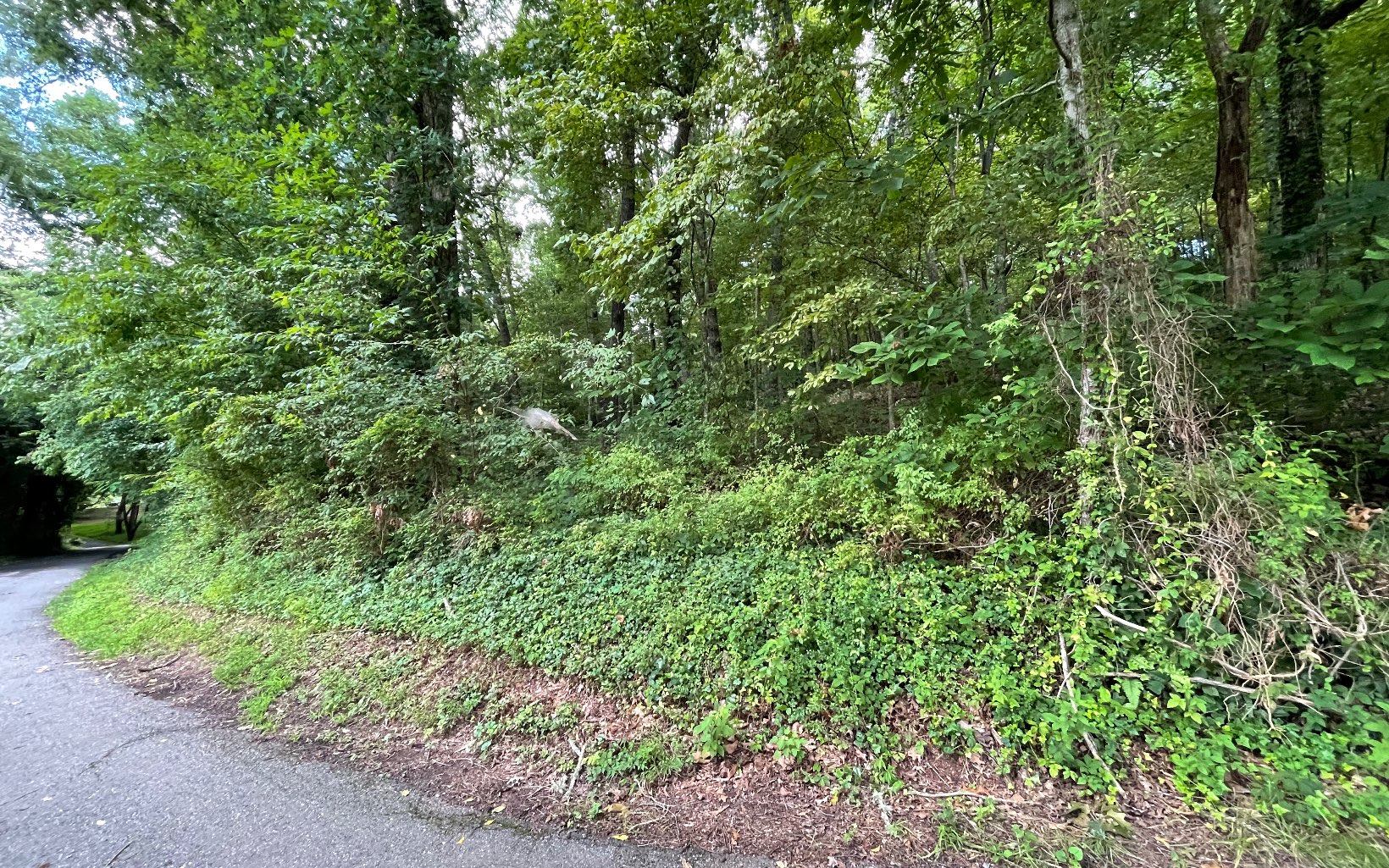 Lot 6A Kilpatrick Point Terrace