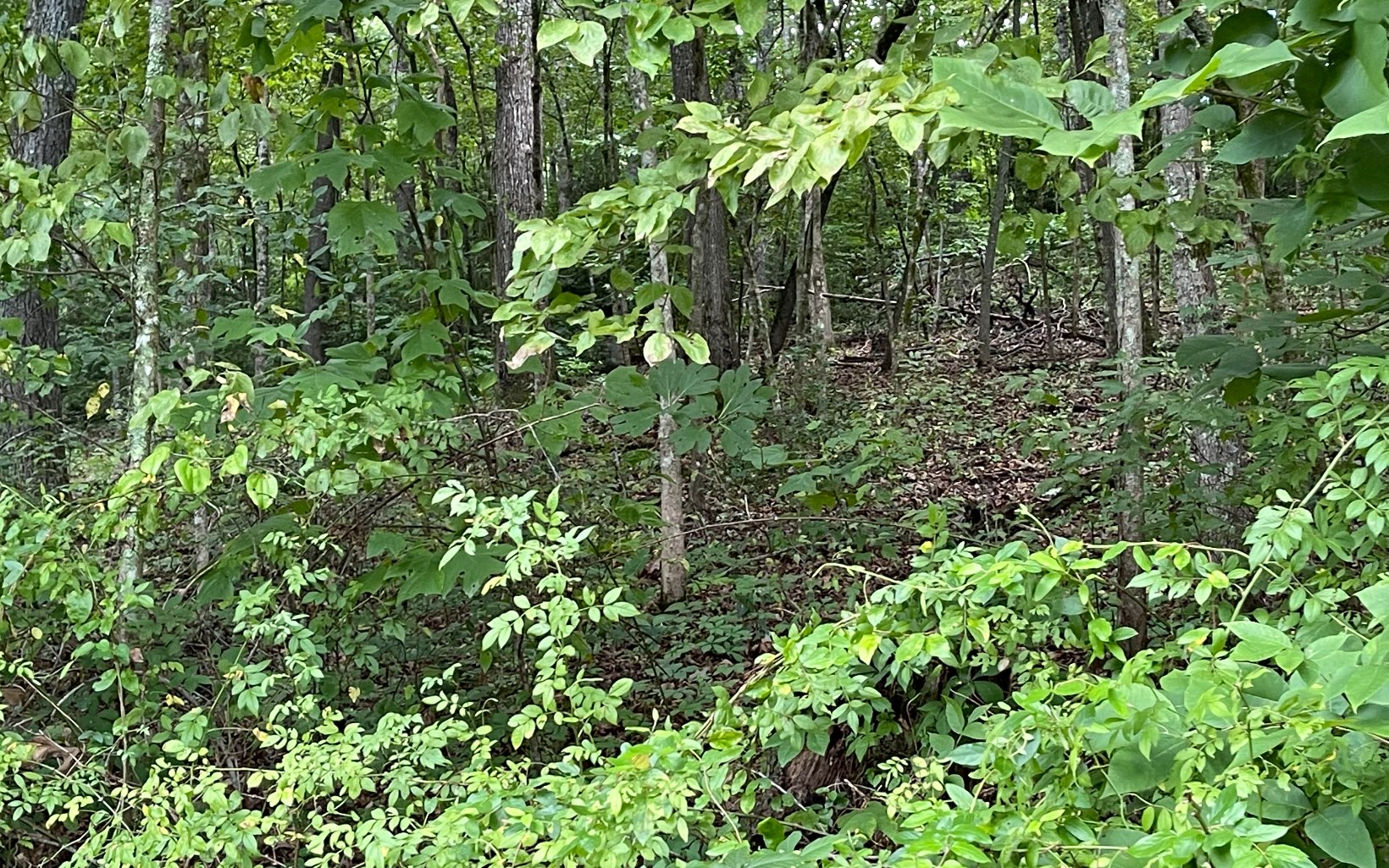 Lot 6A Kilpatrick Point Terrace