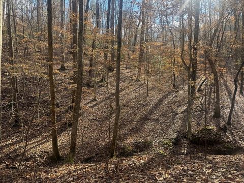Lot 2750 Nimrod Court Ellijay GA 30540