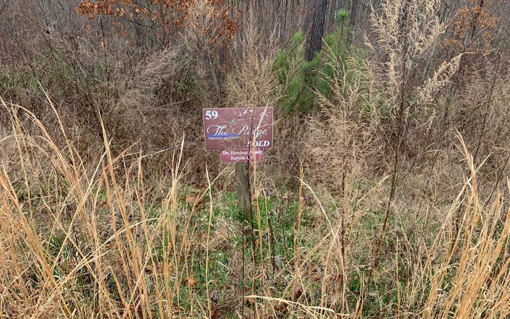 Lot 59 Ridge Peak View