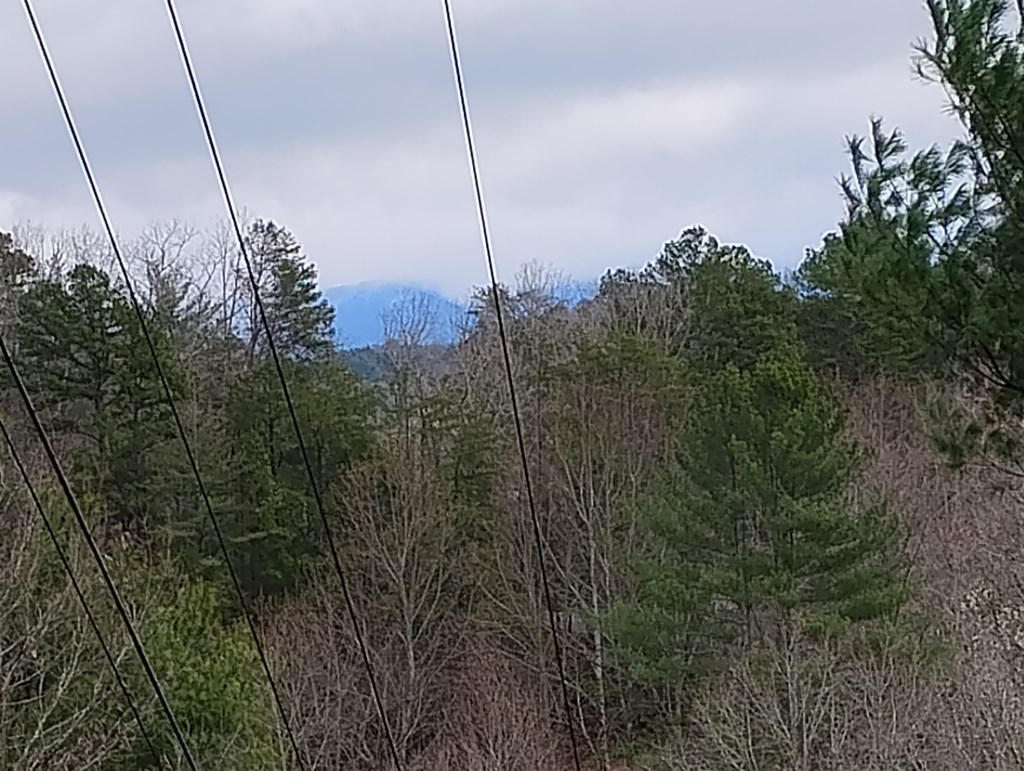 Lt 166 Shenendoa Dr.