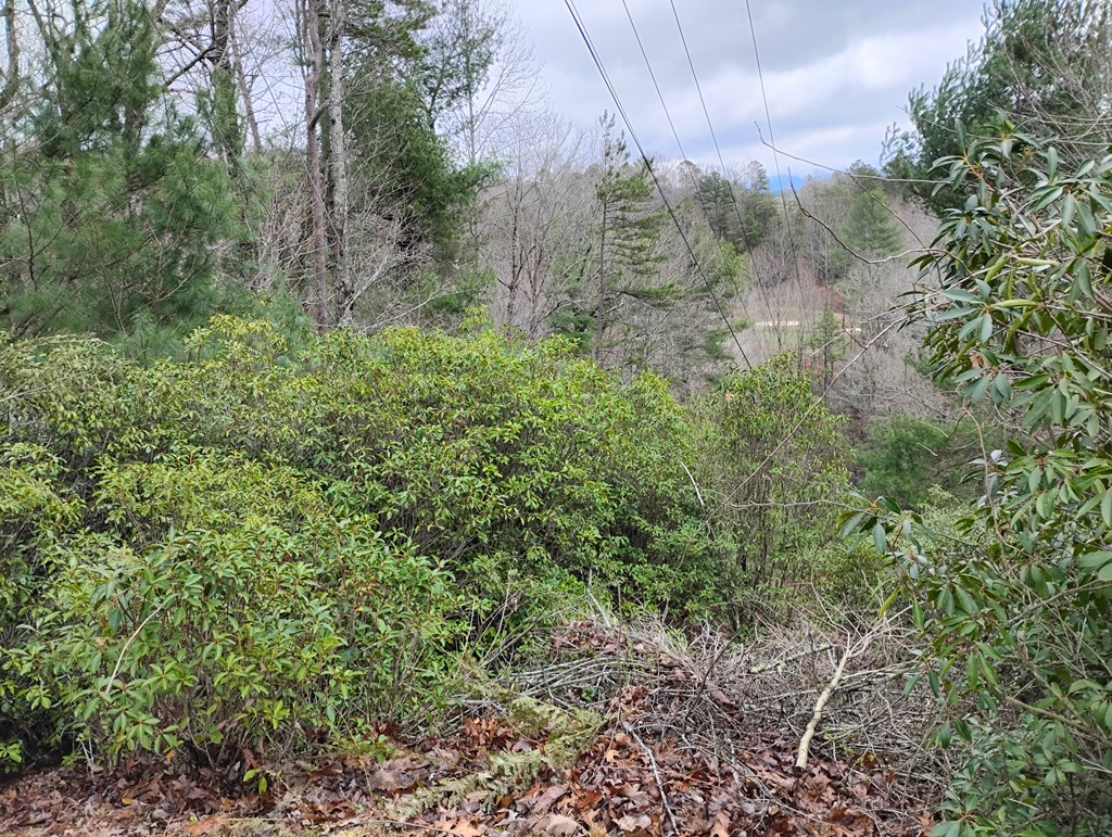 Lt 166 Shenendoa Dr.