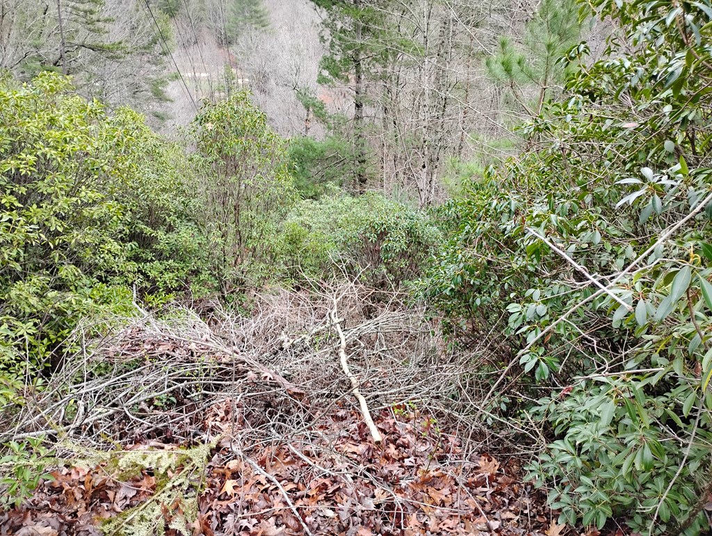 Lt 166 Shenendoa Dr.