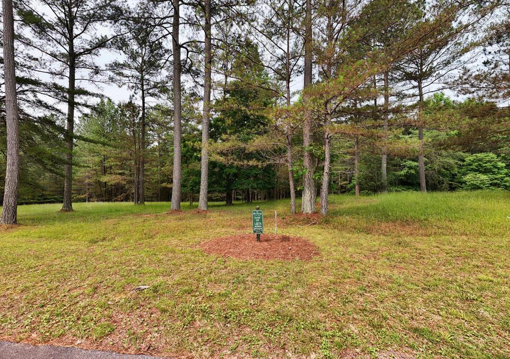 Lot 45 Sweetwater Lane