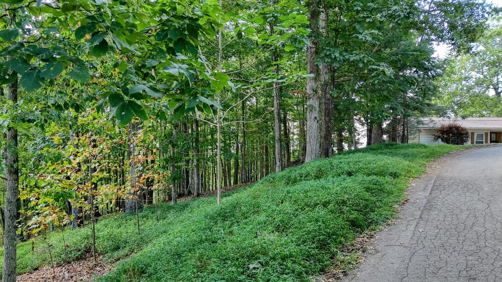 Lot 29 Harris Ridge Road