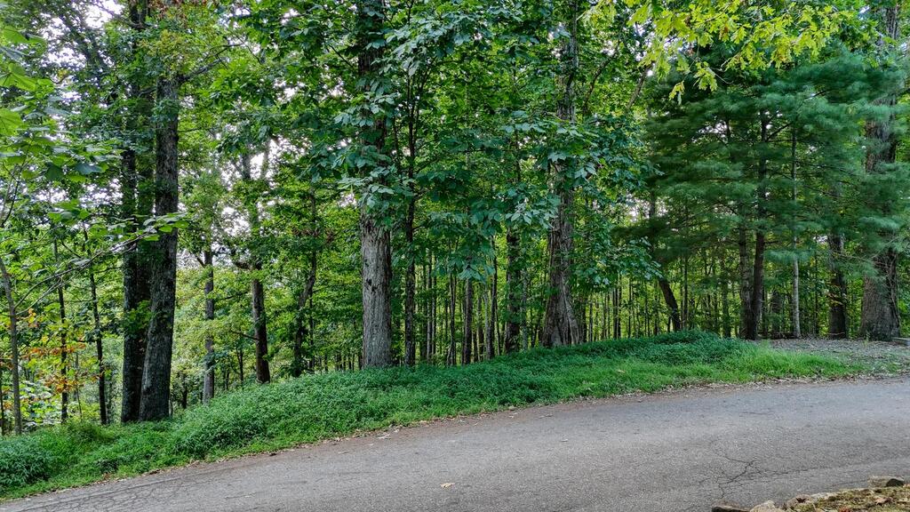 Lot 29 Harris Ridge Road
