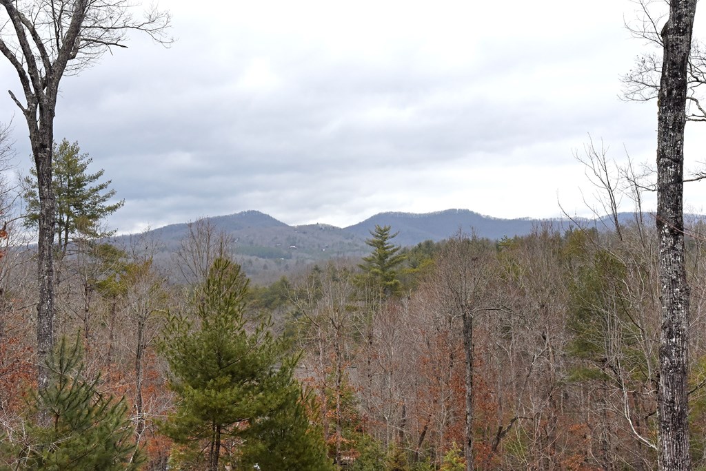 120 Aska Forest Trail