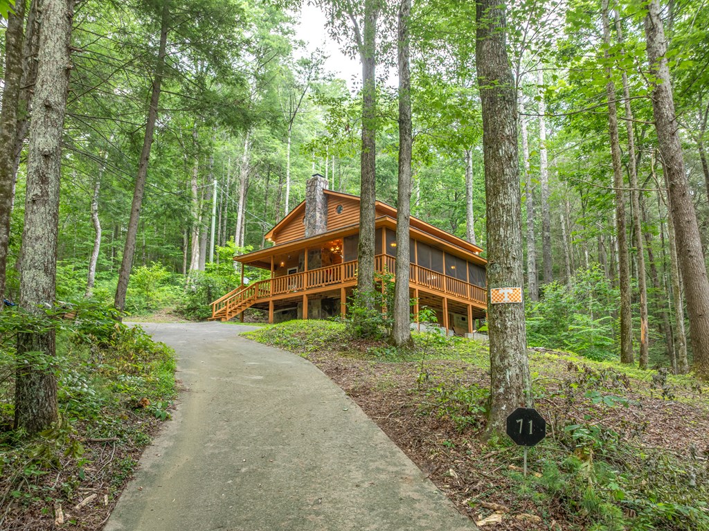 71 Cohutta Forest Road