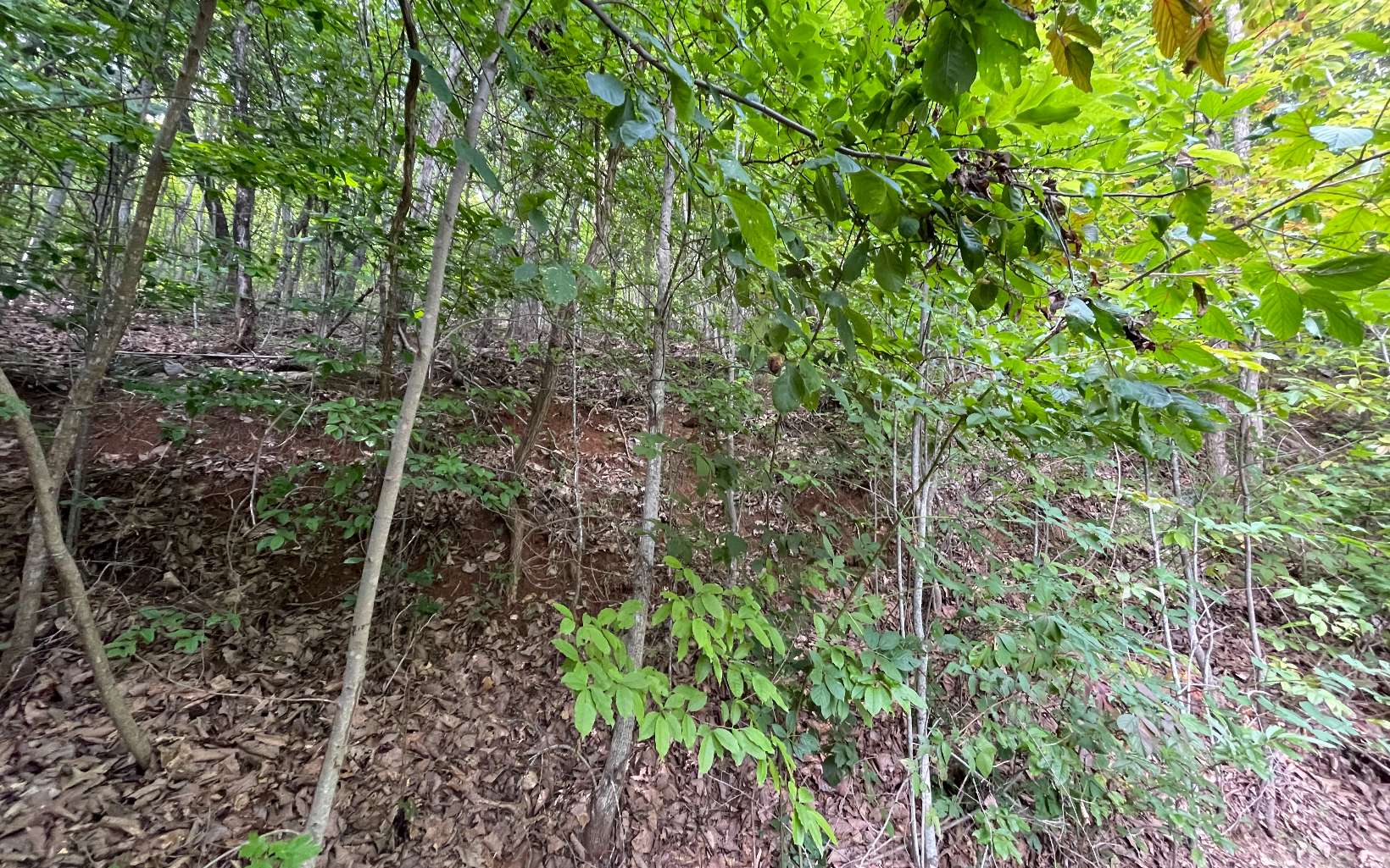 Lot 34 Overlook At Yh