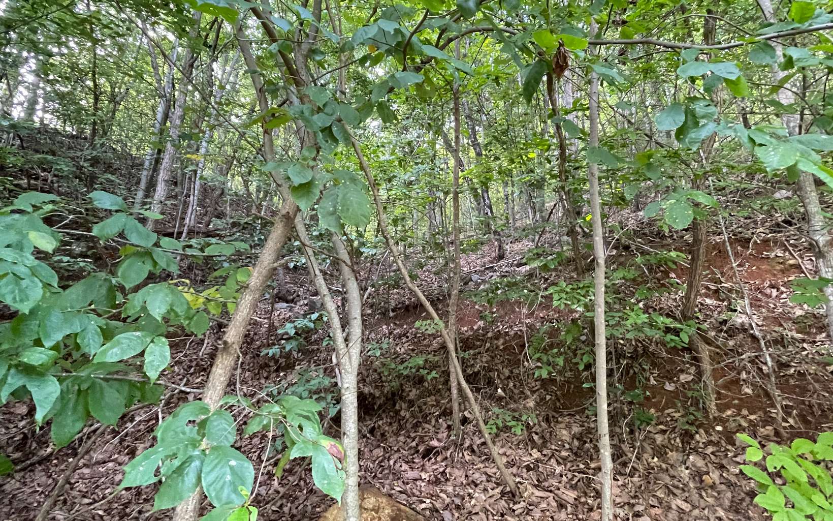 Lot 34 Overlook At Yh