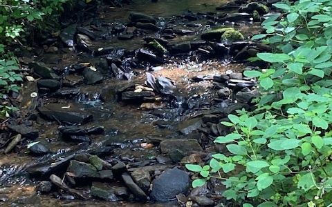 0 Seven Springs Road
