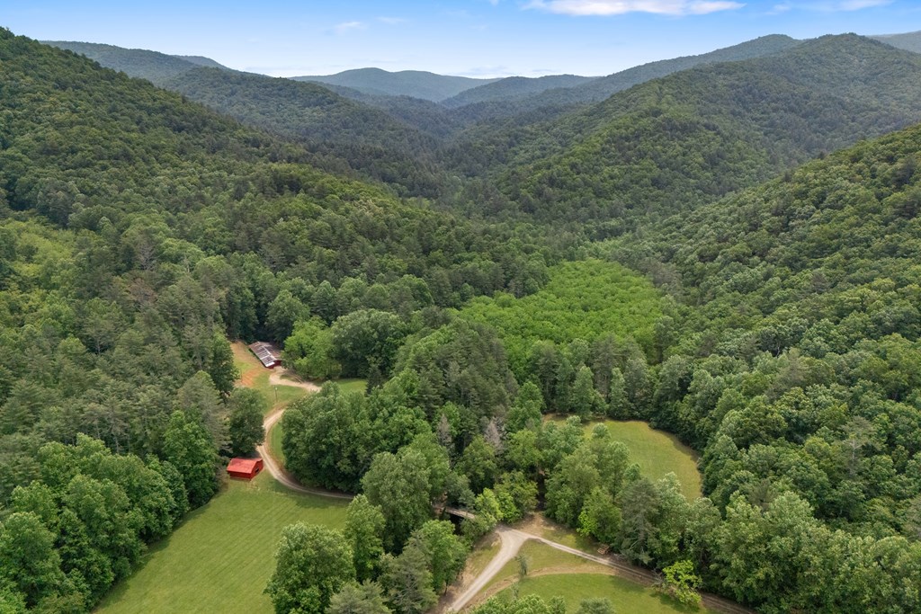 7320 Chestnut Valley Road