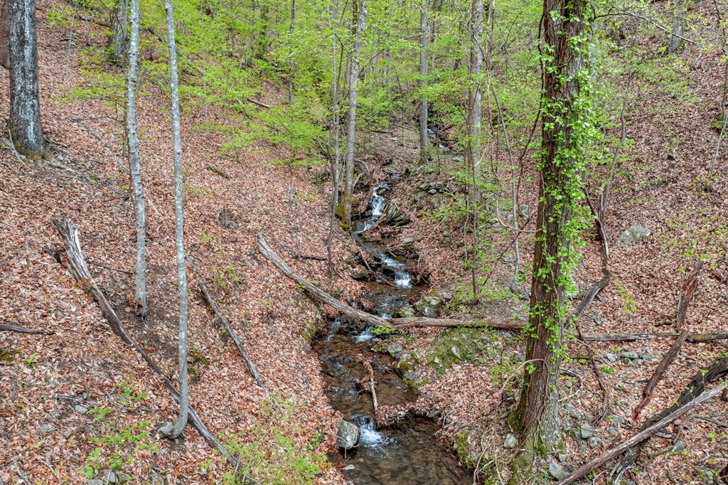0 Sassafras Mountain Trail
