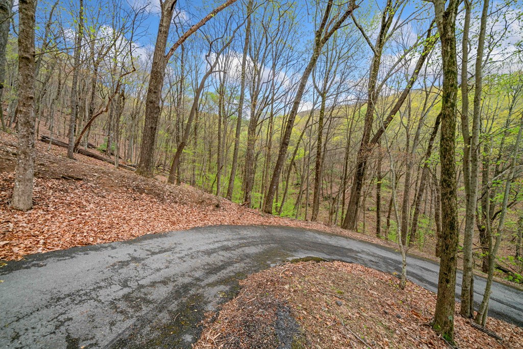 0 Sassafras Mountain Trail