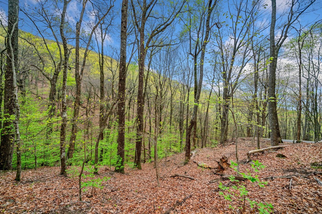 0 Sassafras Mountain Trail