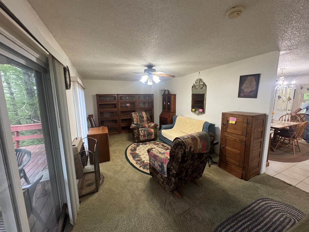 210 Holly Ridge Lane