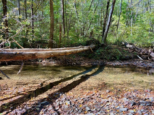 2.2 ACRE HATCHET CREEK ROAD, UNION, GA 30512 - Image 97fa0077cdc9055700c0bbbd7eb39f81/3643647066