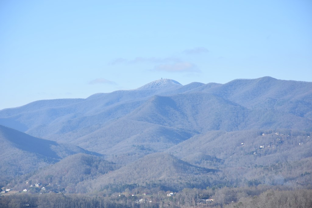 Lot #50 Broken Arrow