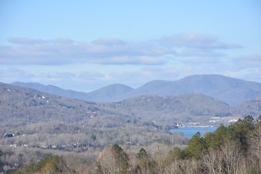 Lot #50 Broken Arrow