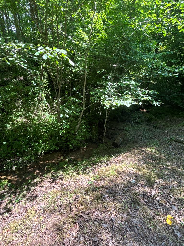 149 Happy Hollow Lane