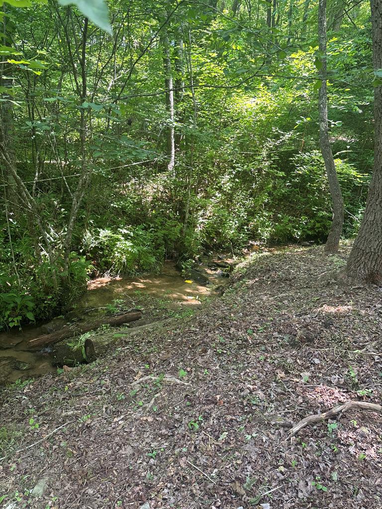 149 Happy Hollow Lane