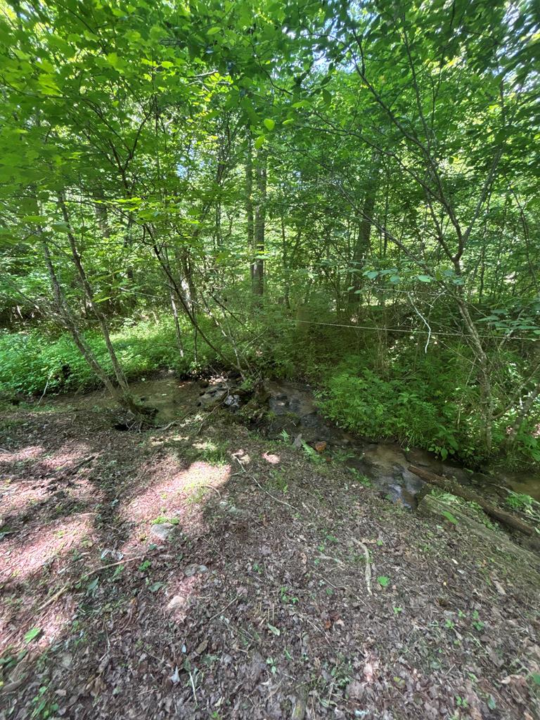 149 Happy Hollow Lane