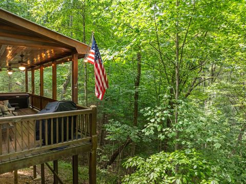 A home in Blue Ridge