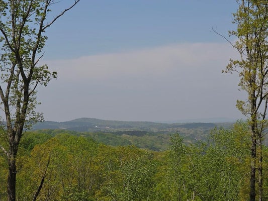 LOT 105 TWISTED OAK ROAD, TALKING ROCK, GA 30175 - Image 982bde9f6c5bb7b0d598af83bac86928/110618073