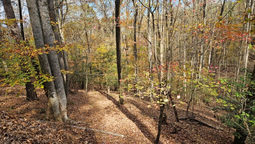 Lot 266 Catawba Circle