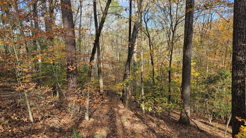 Lot 266 Catawba Circle