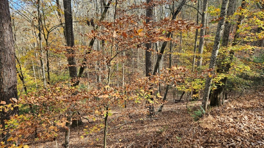 Lot 266 Catawba Circle