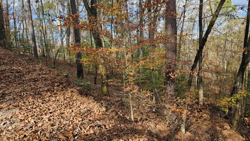 Lot 266 Catawba Circle