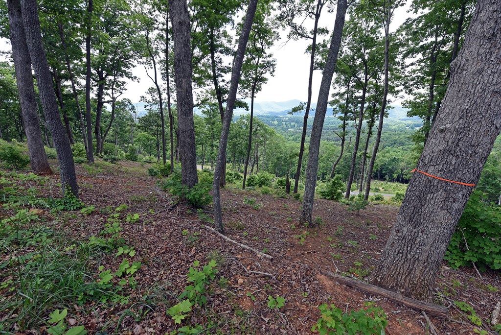 00 Highland Park Lt 112