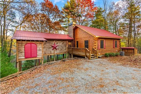 22 N Candice Court Blue Ridge GA 30513