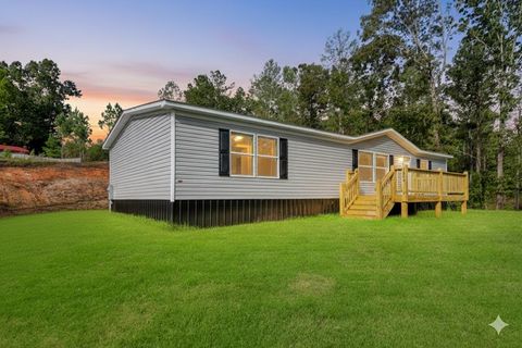 1380 Pleasant Gap Road Ellijay GA 30540