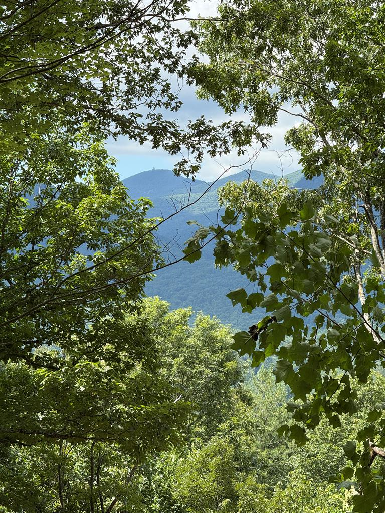 Lot 16 Whiskey Mountain Estates